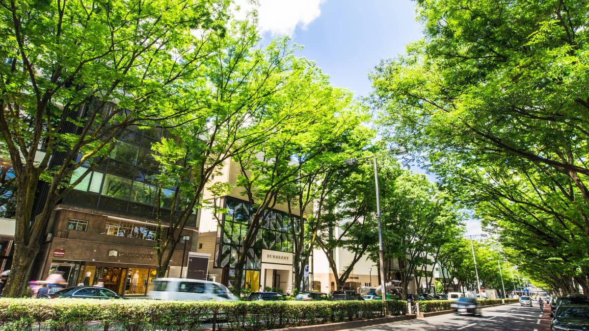 会社イメージ